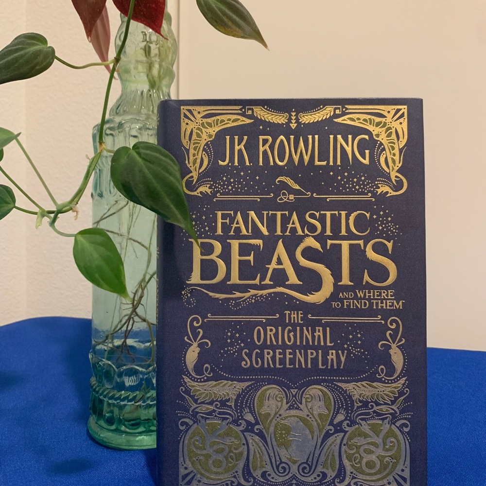 Brand New Fantastic Beasts Hardback Book